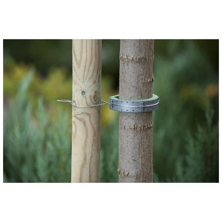 2 colliers de tuteurage a clouter 60x3,8 cm