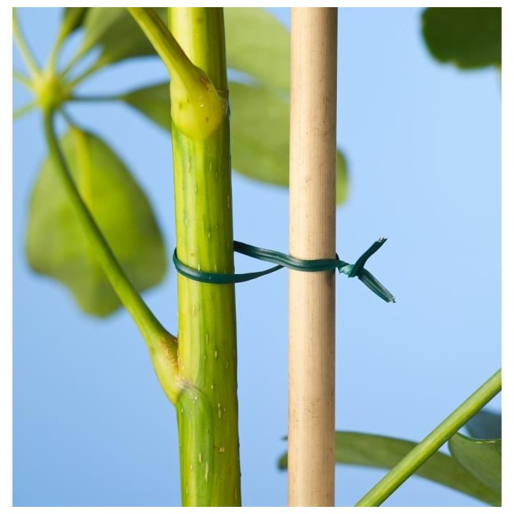 50 fils de fer plastifiés verts 0,8 mm de diametre