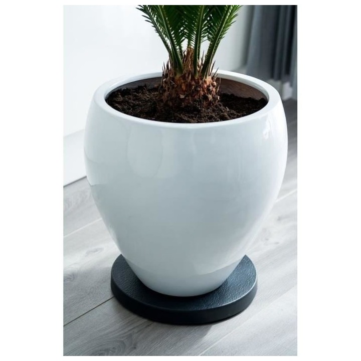 NATURE Tablette a roulettes pour plantes - Polypropylene - H4 x Ø29,2