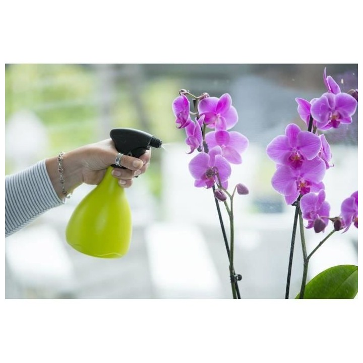 NATURE Pulvérisateur - En polyéthylene - Light vert - 0,7 L