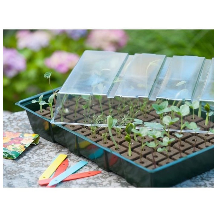 Nature Kit de mini propagateur 7x11 cellules