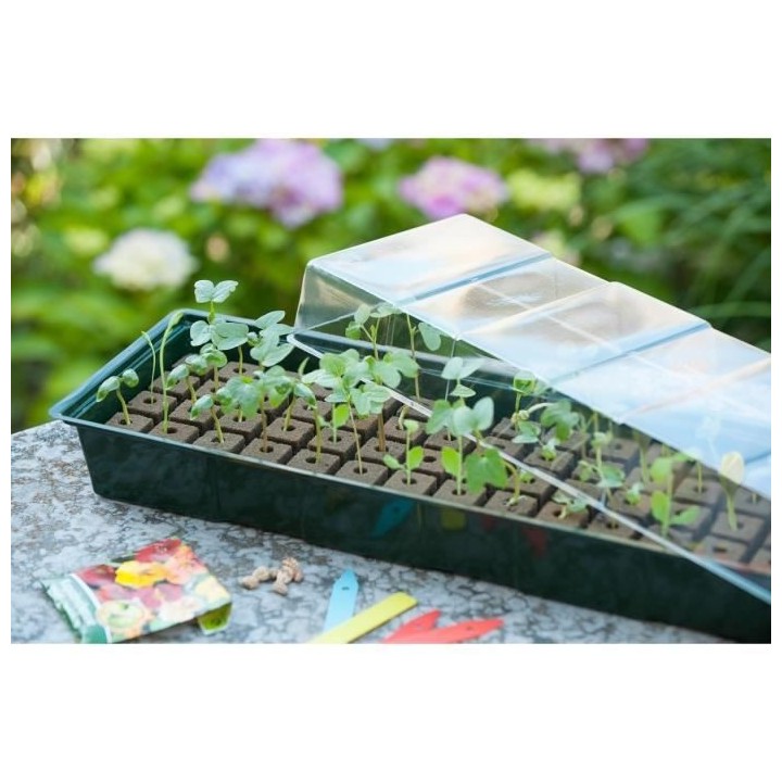 Nature Kit de mini propagateur 4x16 cellules