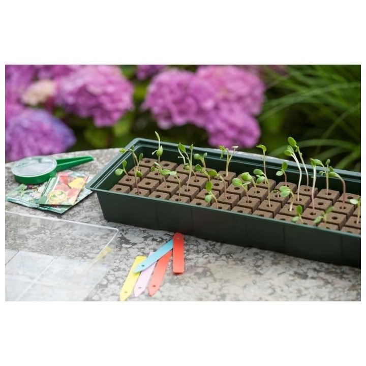 Nature Kit de mini propagateur 4x16 cellules