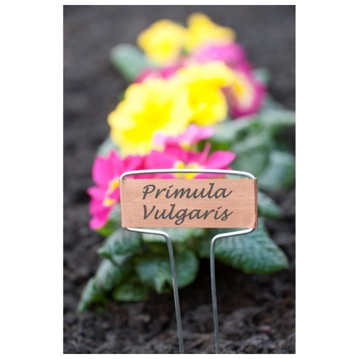 NATURE Etiquettes en T a planter en cuivre