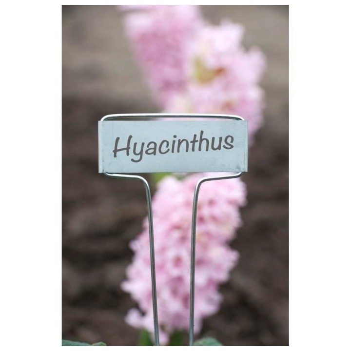 NATURE Etiquettes en T a planter en zinc