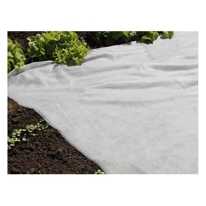 NATURE Voile de forçage 30 g/m² - 2 x 100 m - Blanc