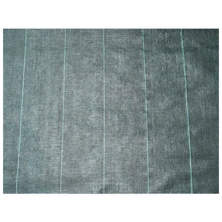 Nature Bâche de sol de contrôle des mauvaises herbes 2x5 m Noir