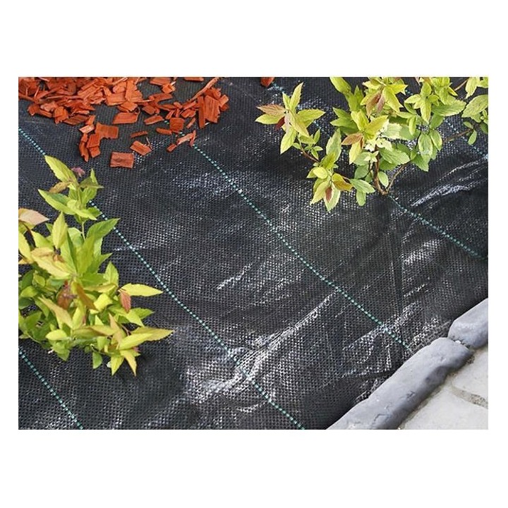 Nature Bâche de sol de contrôle des mauvaises herbes 2,1x25 m Noir