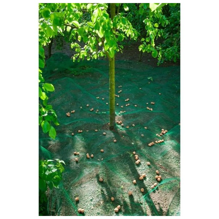 Nature Filet collecteur de fruits et de feuilles 4,3 x 4,3 m 6030451
