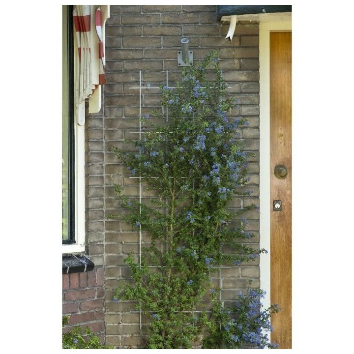 NATURE Treillis métallique rectangulaire en acier galvanisé 42,5xH14