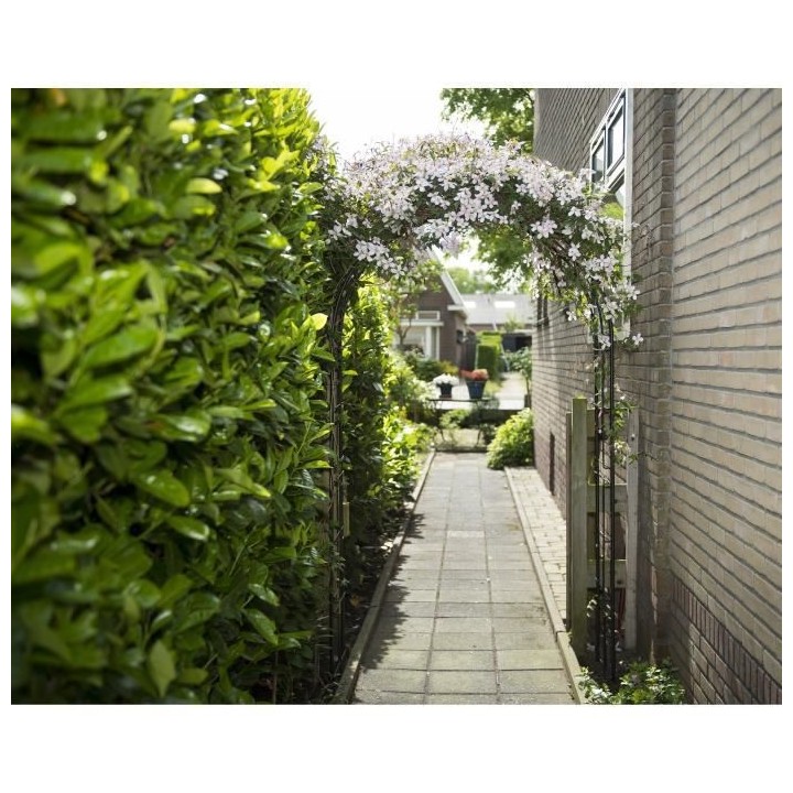 Arche de jardin en métal noir Nature 6040802