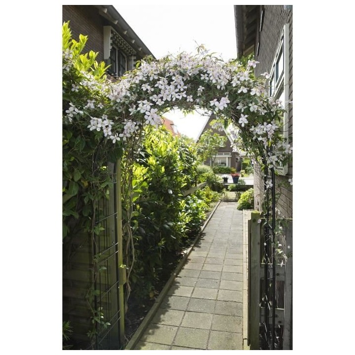 Arche de jardin en métal noir Nature 6040802