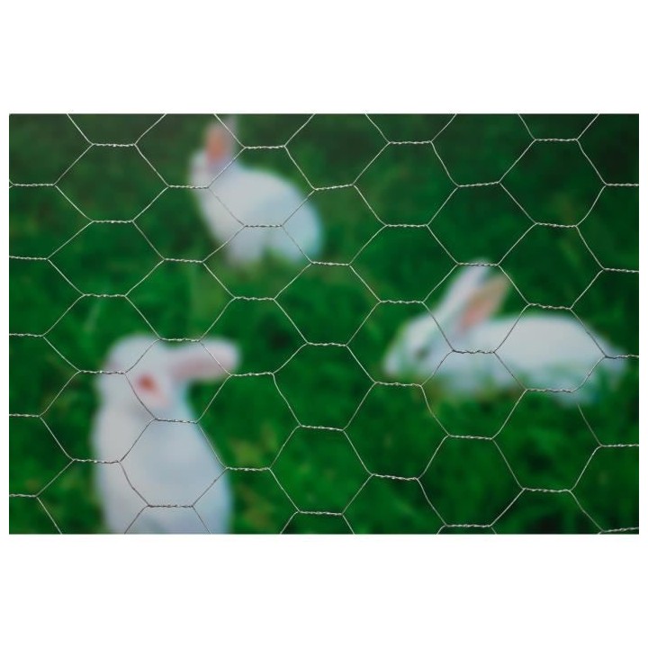 Nature Grillage métallique hexagonal 1 x 10 m 25 mm Acier galvanisé