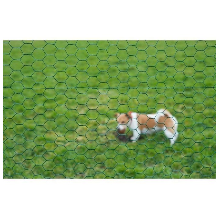 Nature Grillage métallique hexagonal 0,5 x 5 m 25 mm Vert