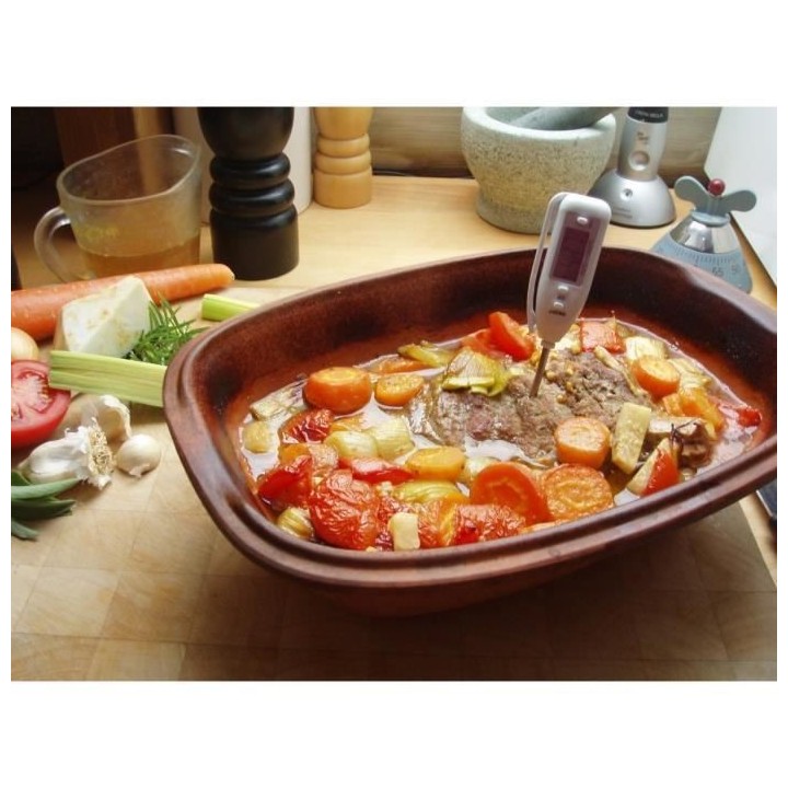 NATURE Thermometre a viande / bbq