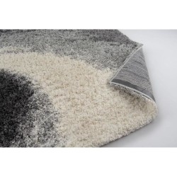 Tapis Moderne poils longs - Gris et Anthracite - 100% polypropylene - 120 x 170 cm - Intérieur - NAZAR