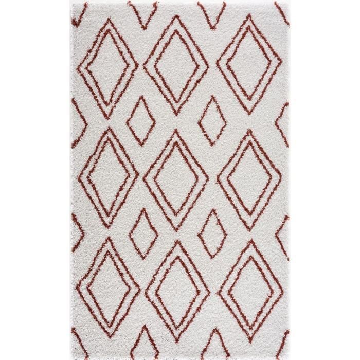 /80773/nazar-tapis-de-salon-shaggy-longues-meches-style-berbere-losa-120-x-160-cm-blanc-et-terracotta.jpg