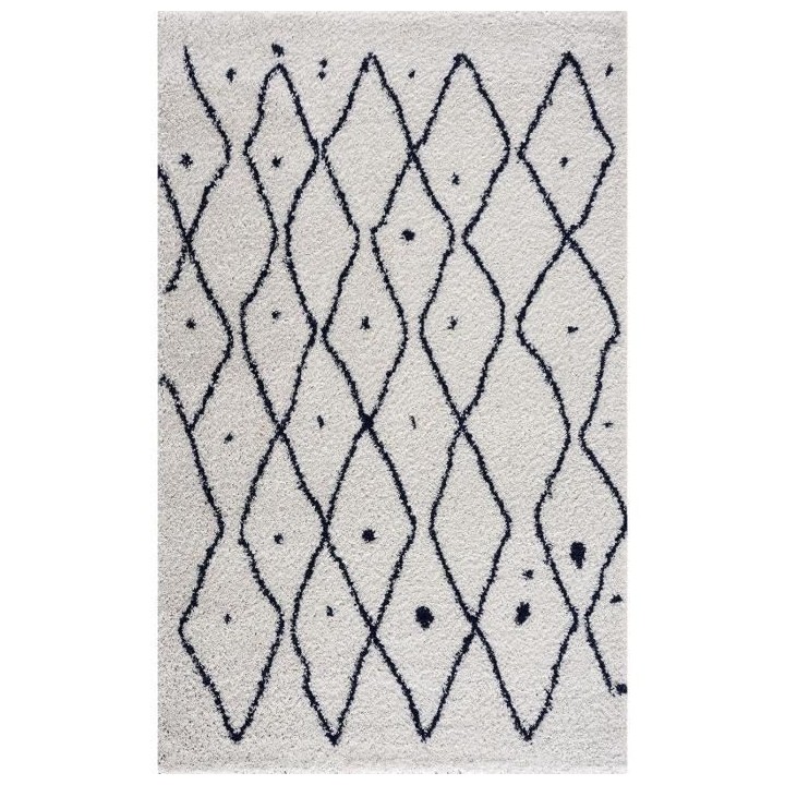 NAZAR Tapis de salon Shaggy longues meches style Berbere PIA - 120 x 1