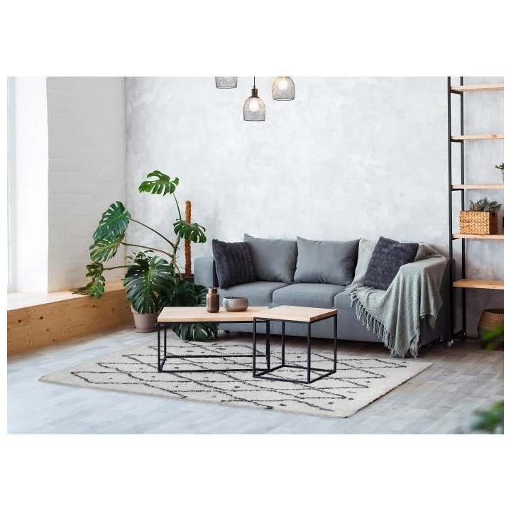 NAZAR Tapis de salon Shaggy longues meches style Berbere PIA - 120 x 1