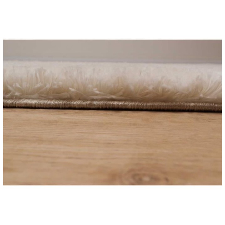 Tapis shaggy doux Oslo 584 - Beige - 100% polyester - 120 x 160 cm - I