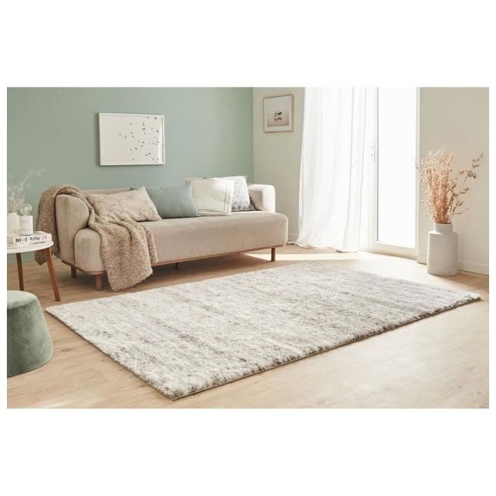 Tapis shaggy doux Oslo 584 - Gris - 100% polyester - 80 x 150 cm - Int