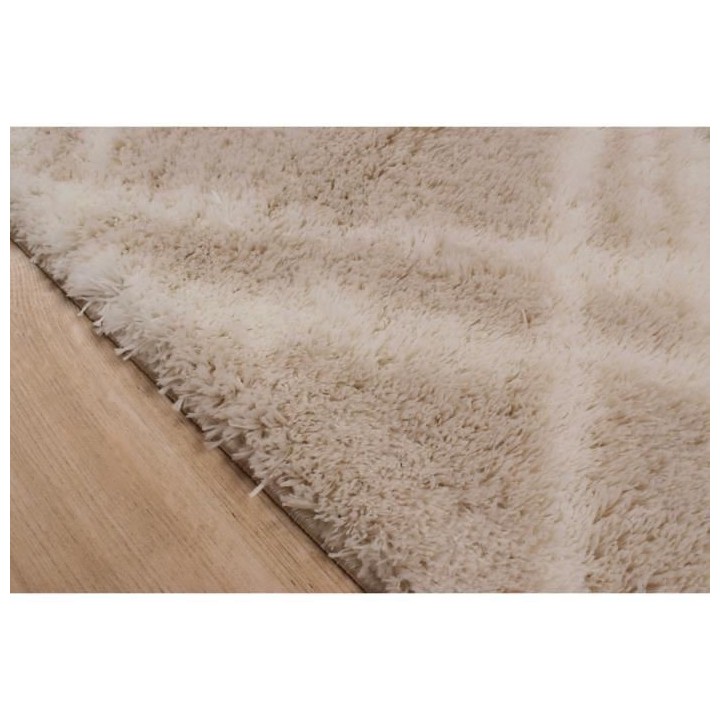 Tapis shaggy doux Oslo 668 - Beige - 100% polyester - 80 x 150 cm - In