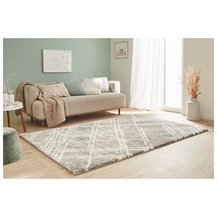 Tapis shaggy doux Oslo 668 - Gris - 100% polyester - 120 x 160 cm - In