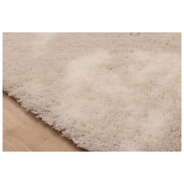 Tapis shaggy doux Oslo 677 - Beige - 100% polyester - 120 x 160 cm - I
