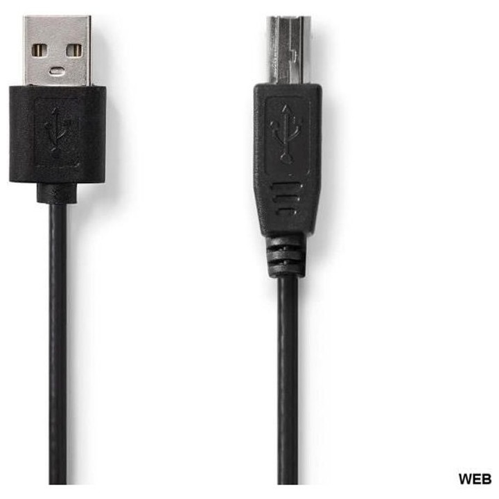 Câble USB 2.0 A Male / B Male de 2m