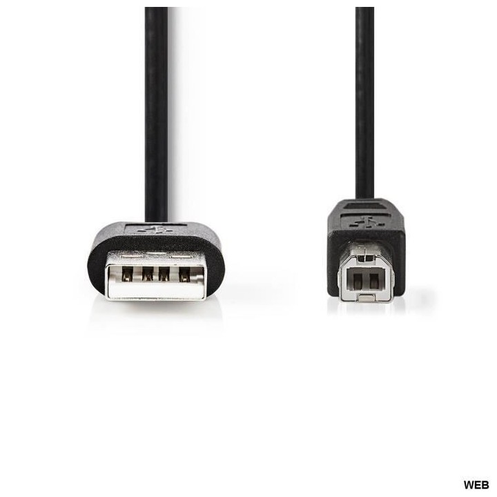 Câble USB 2.0 A Male / B Male de 2m