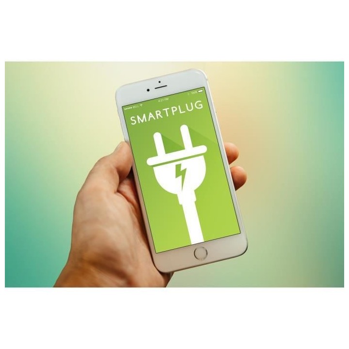 NEW DEAL Prise connectée SPECO+ FR WiFi contrôlable a distance