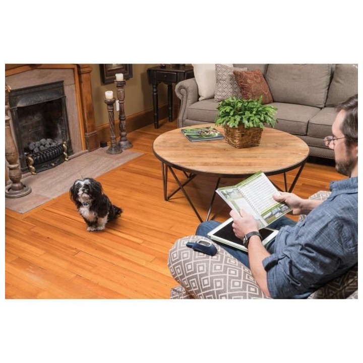 PetSafe - Systeme de Dressage pour Chien 300 m a Stimulation Electrost