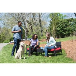 PetSafe - Systeme de Dressage Léger pour Chien 600 m a Stimulation Douce, Rechargeable, Étanche, Signaux Sonores/Vibrations