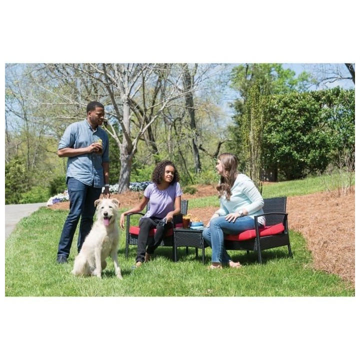 PetSafe - Systeme de Dressage Léger pour Chien 600 m a Stimulation Do