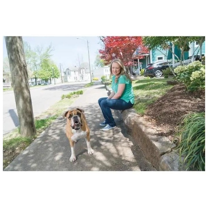 PetSafe - Collier de Dressage avec télécommande digitale pour 2 Chie