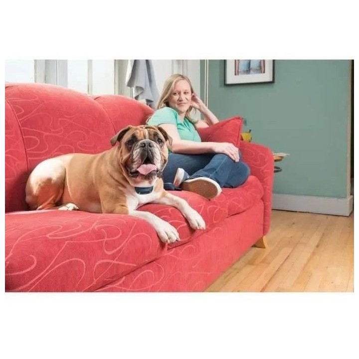 PetSafe - Collier de Dressage avec télécommande digitale pour 2 Chie