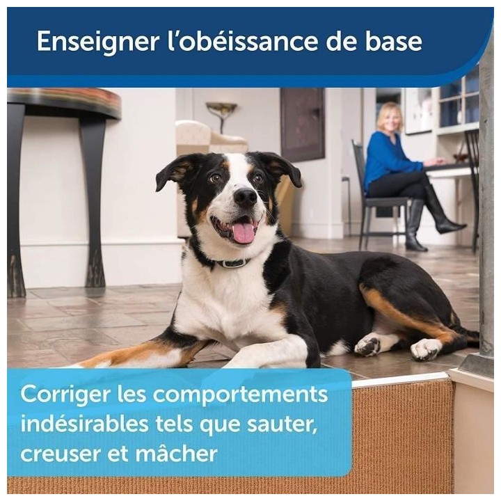 PetSafe - Collier de Dressage avec télécommande digitale pour 2 Chie