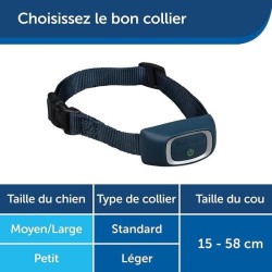 PetSafe - Collier de Dressage avec télécommande digitale pour 2 Chiens, portée de 600m, Rechargeable,Étanche,Signal Sonore/V