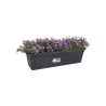 ELHO Balconniere Green Basics 50 - Extérieur & Balcon - L 16,5 x W 49 x H 13,7 cm - Vivre noir