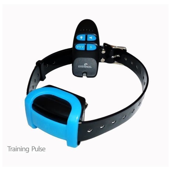 Ensemble dressage EYENIMAL TRAINING PULSE chien