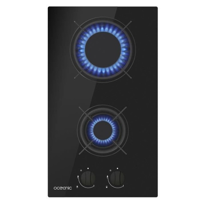 Plaque de cuisson gaz OCEANIC 2 foyers L30 x P 52 cm OCEACTG2VB8