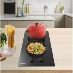 Plaque de cuisson gaz OCEANIC 2 foyers L30 x P 52 cm OCEACTG2VB8