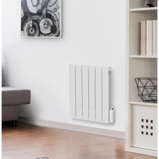 Radiateur électrique fixe a inertie fluide 1000W OCEANIC Agate - Norm