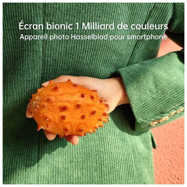 OPPO Find X5 256Go 5G Noir