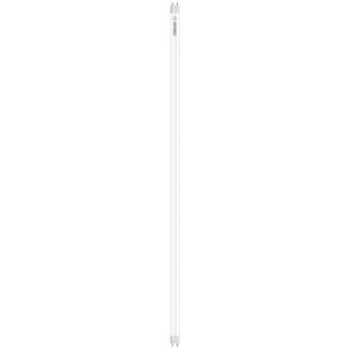 OSRAM TUBE LED SubstiTUBE Star Verre T8 60cm 7,3W 18 froid