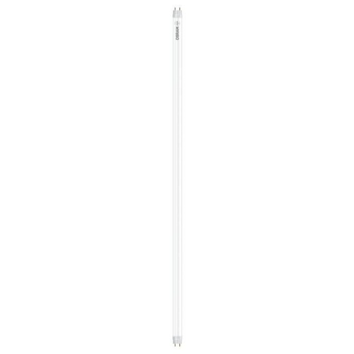 OSRAM TUBE LED SubstiTUBE Star Verre T8 60cm 7,3W 18 froid
