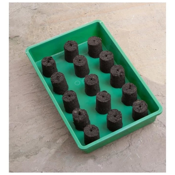 NATURE Presse mottes