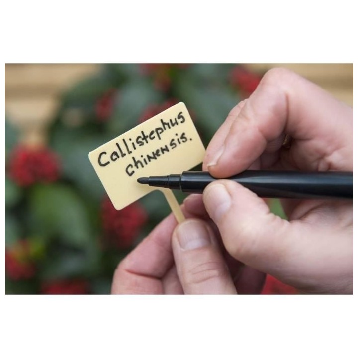 NATURE Marqueurs indélébiles pour étiquettes