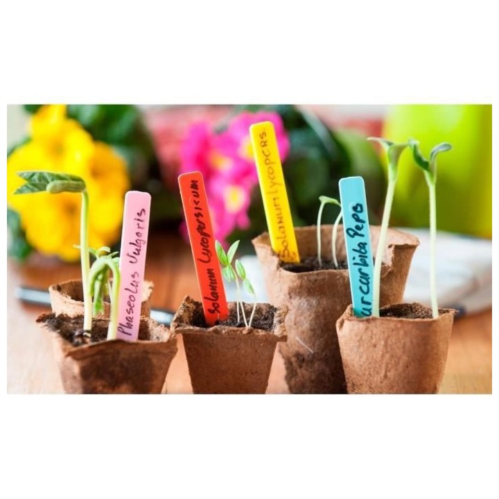 NATURE Etiquettes a piquer