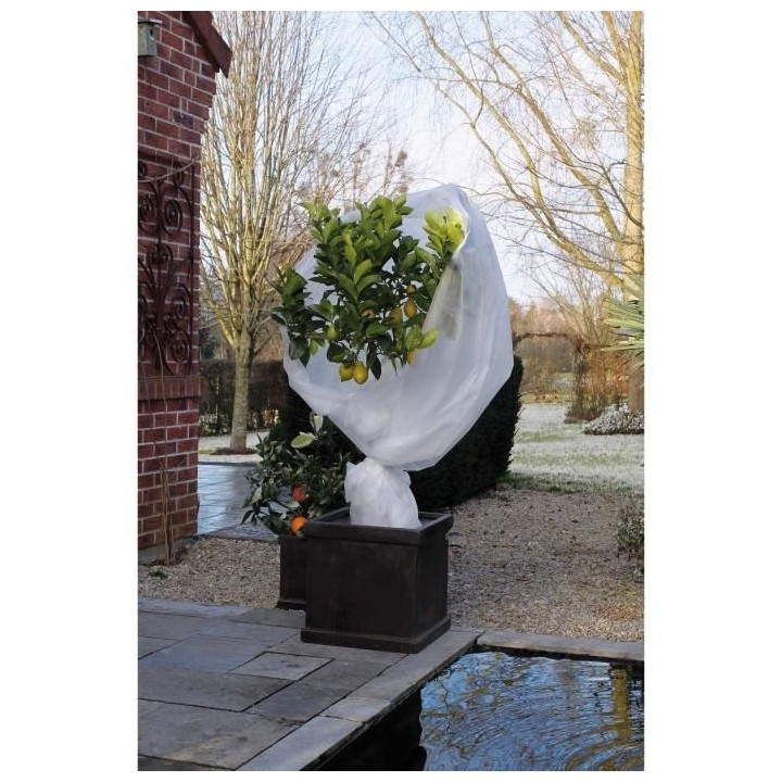 Nature Couverture en polaire d'hiver 30 g/m² Blanc 2x10 m